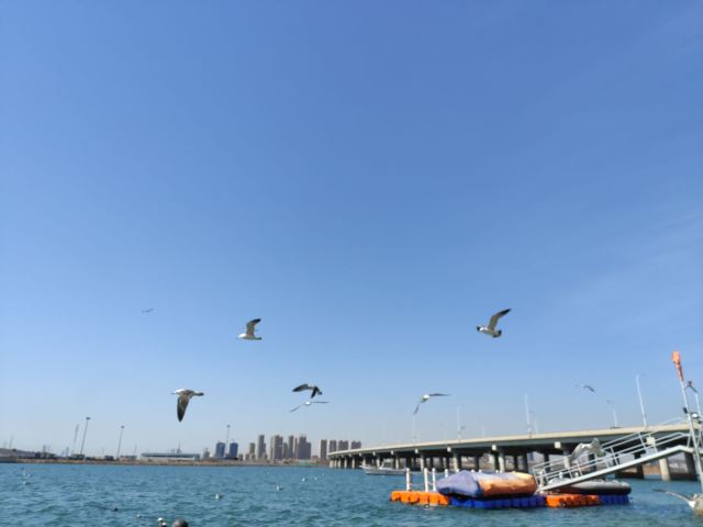 滨海公园旅行图片 6