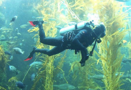 Birch Aquarium at Scripps