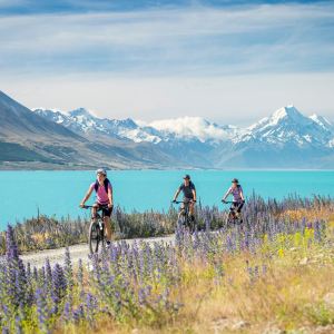 South Island