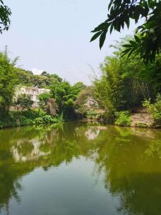 天鹿湖森林公园-广州-第二号爱人