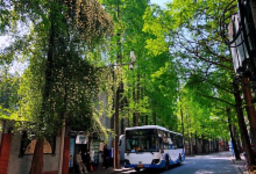 甜爱路景点图片