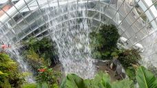 云雾林-新加坡-YoYo_9P4S4Y9D