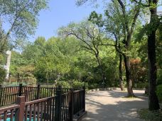 和平公园-上海-WillSum