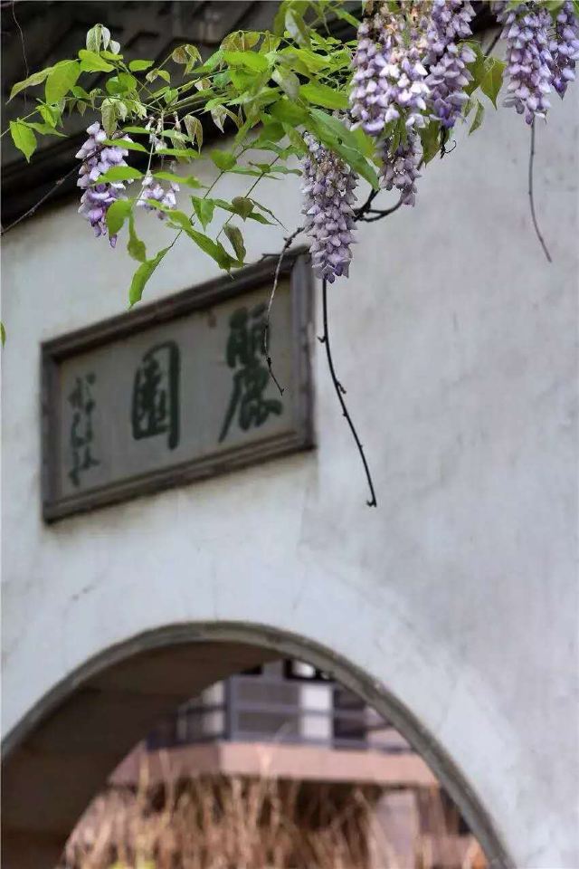 丽园公园旅行图片 1