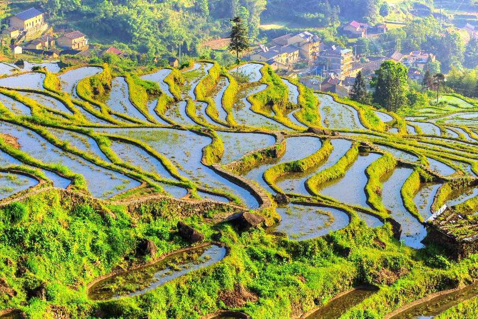 云和梯田景区
