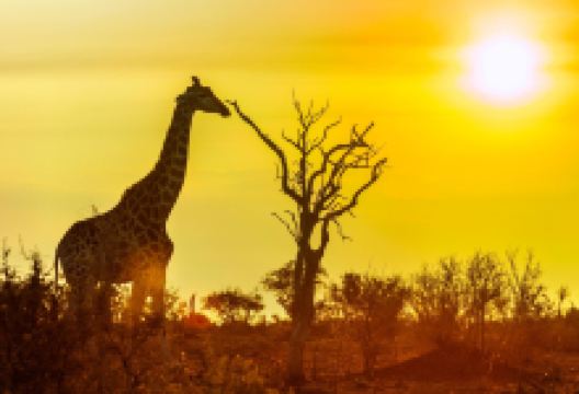 克留格尔国家公园景点图片