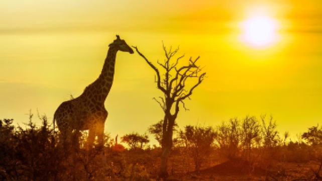 克留格尔国家公园