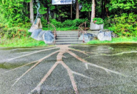 Port Angeles Fine Art Center景点图片