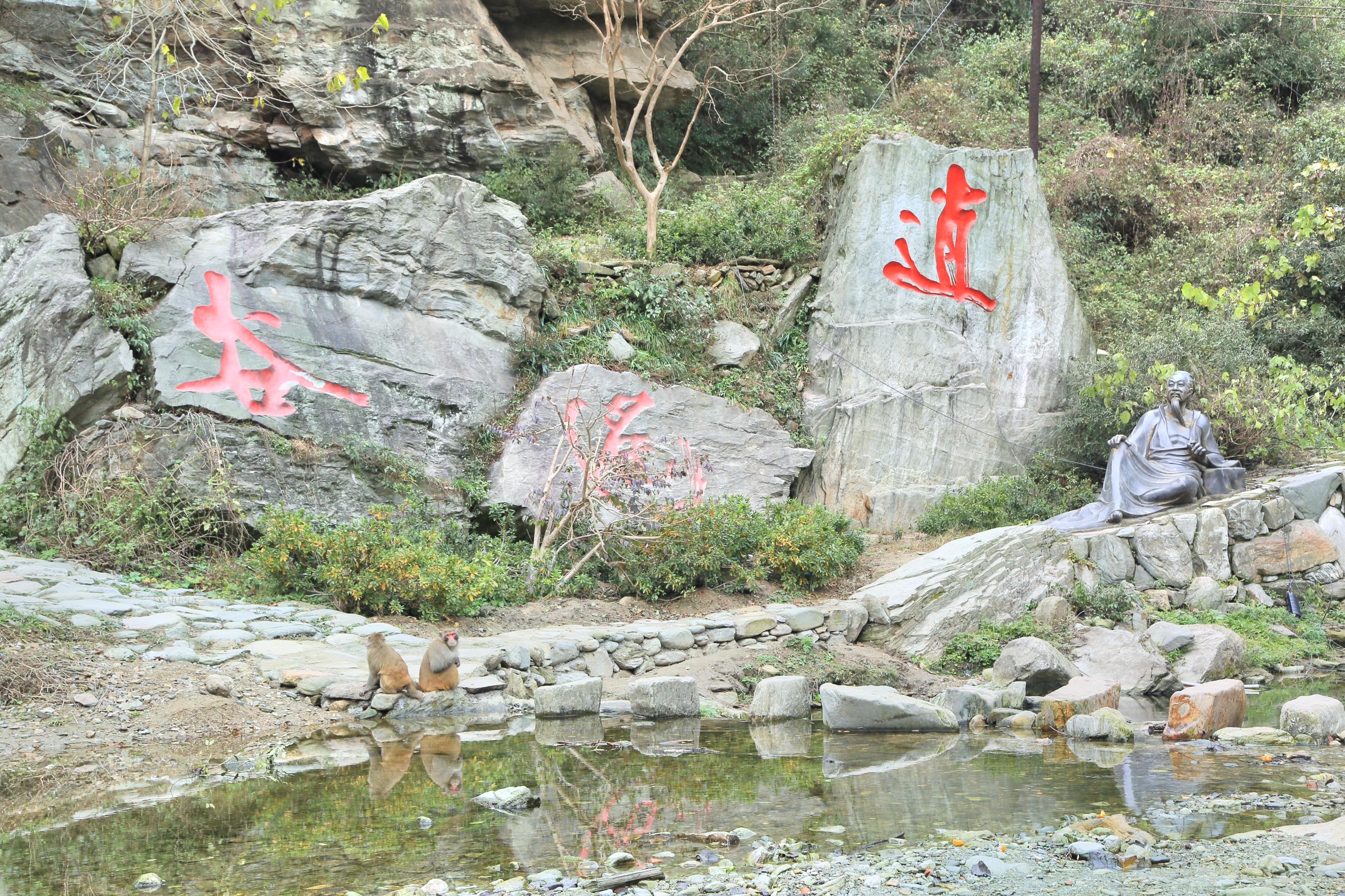 逍遥谷