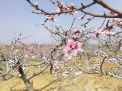 肥城休闲1日游