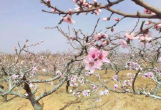 肥城旅游图片-肥城休闲1日游