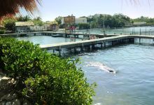 South Padre Island Dolphin Research & Sealife Nature Center景点图片