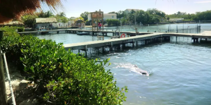 South Padre Island Dolphin Research & Sea Life Nature Center