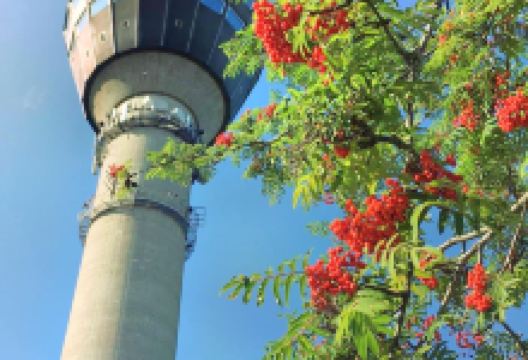 普幽塔景点图片