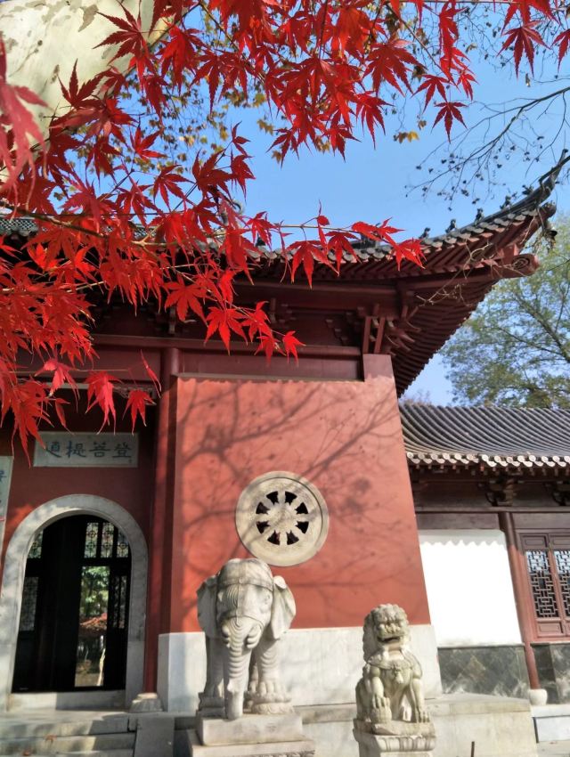 栖霞禅寺牌坊旅行图片 5