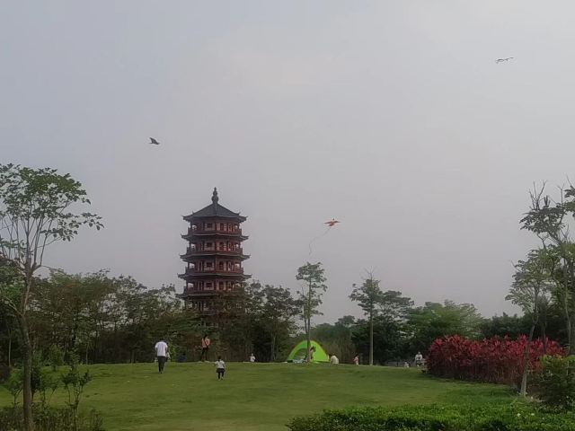 华阳湖国家湿地公园旅行图片 7
