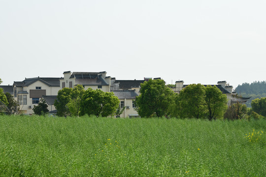 南京人看南京——高淳慢城慢慢走