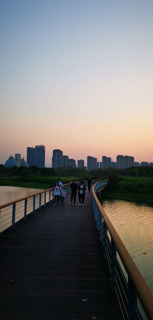 碧湖生态公园旅行图片 1
