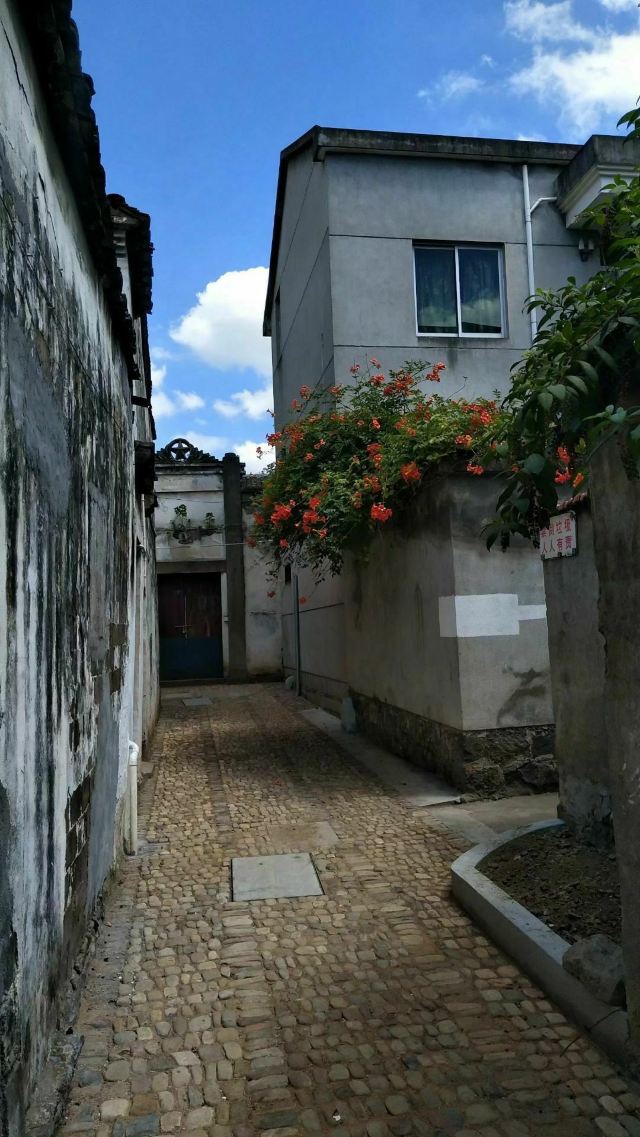 崇仁古镇旅行图片 7