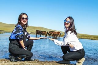 呼伦贝尔大草原 一万个人眼中有一万种呼伦贝尔大草原的秋