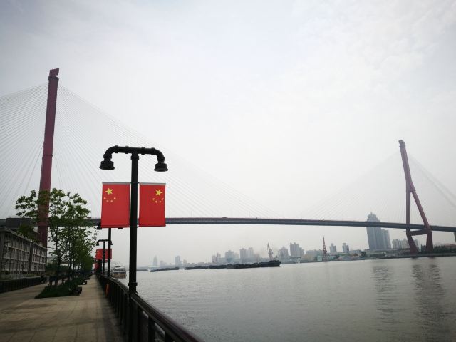 大桥公园旅行图片 3