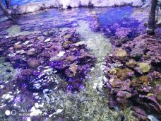 郑州海洋馆-郑州-YoYo_1O1Z1D9D