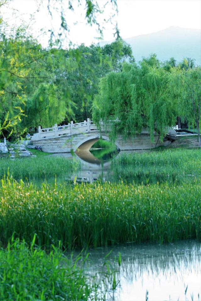 西山公园旅行图片 4