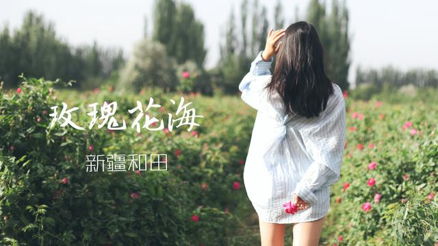 小玫瑰大产业!昆仑山脚下4.6万亩沙漠玫瑰,五月绽放
