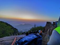 泰山风景区-泰安-M28****2375