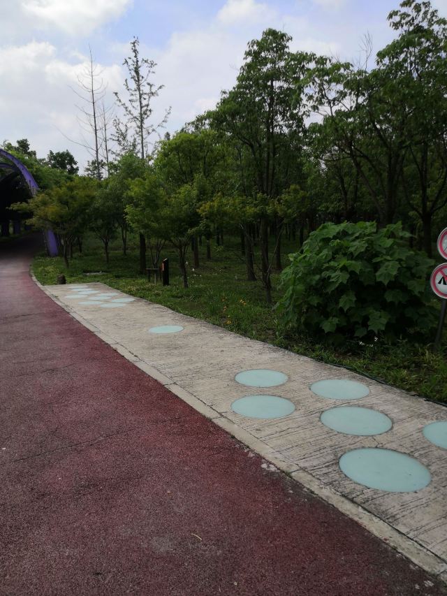 天嘉公园旅行图片 3