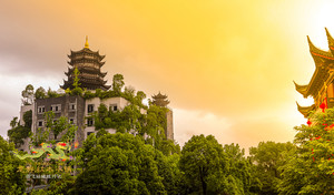 龙游游记图文-杭州自驾仅2h的浙江网红小镇，江浙沪度假好去处，这个夏天格外红