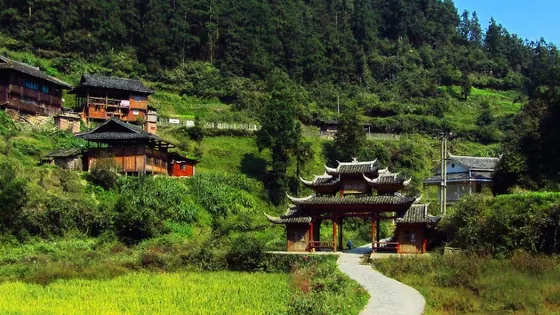 西江千戶苗寨-鼓藏頭家宴