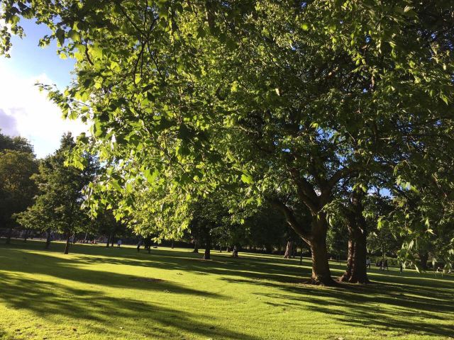 St. Stephen's Green