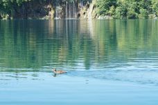 普利特维采湖群国家公园-Plitvicki Ljeskovac-Lifeisahoneymoon