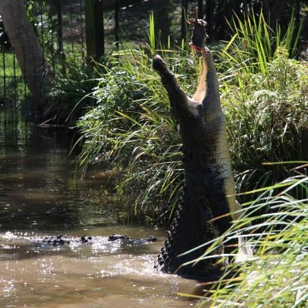 David Fleay Wildlife Park