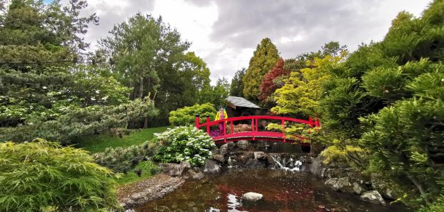 Royal Tasmanian Botanical Gardens