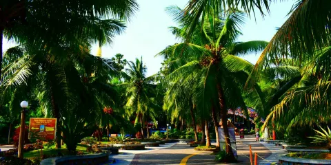 葛印卡內觀大佛塔