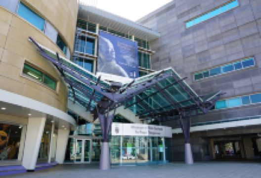 新西兰国立博物馆景点图片