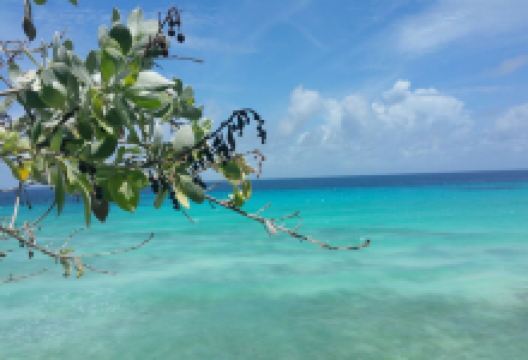 Champers Restaurant美食图片