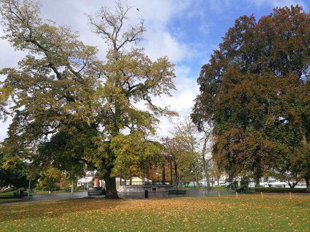 English Garden