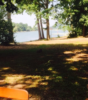 Die Insel - Biergarten Grafenwerth餐厅图片