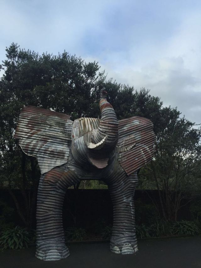 Auckland Zoo
