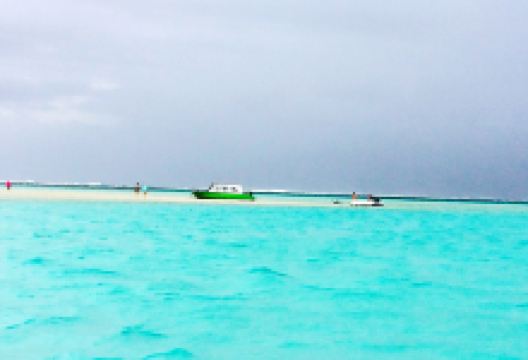 百合之滨景点图片