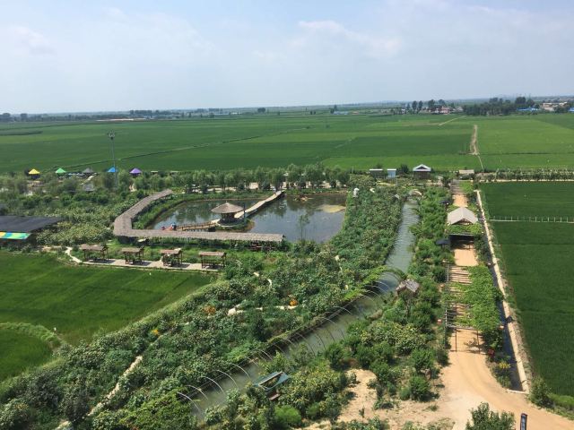稻夢空間