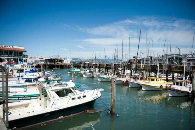 Fisherman's Wharf