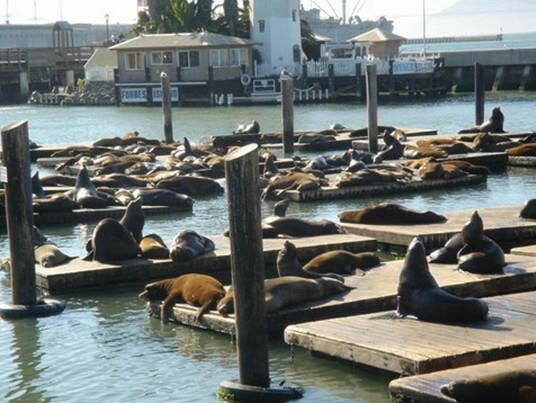 Fisherman's Wharf