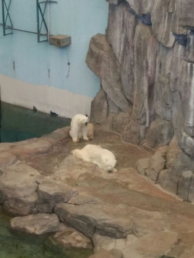 Qujiang Polar Ocean Park
