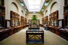 埃及博物馆-开罗-doris圈圈