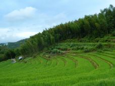 欧家梯田-连山-YoYo_4Q0D7V8S
