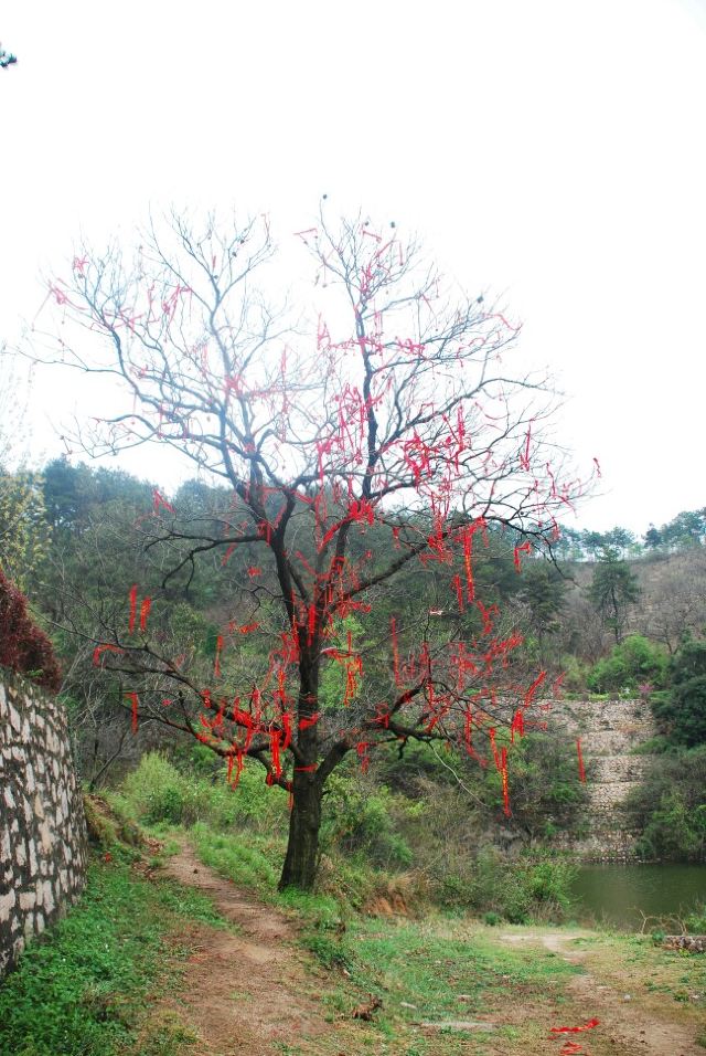 링산